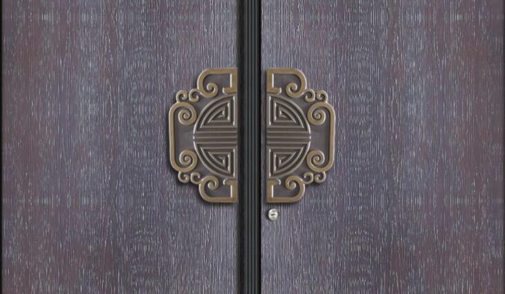 別墅入戶(hù)門(mén)非標(biāo)定制拉手